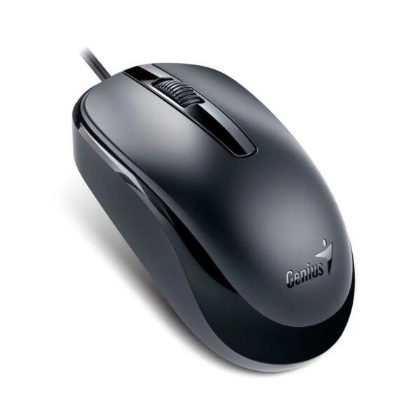 MOUSE OPTICO GENIUS USB DX-120 NEGRO 1200 DPI